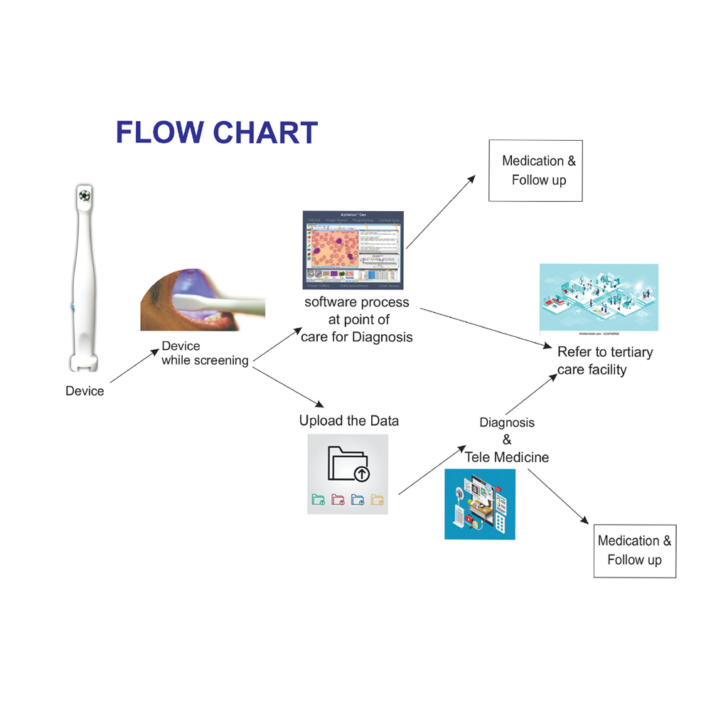 Flow chart 1